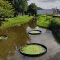 実際訪問したユーザーが直接撮影して投稿した今井町公園今井都市緑地の写真