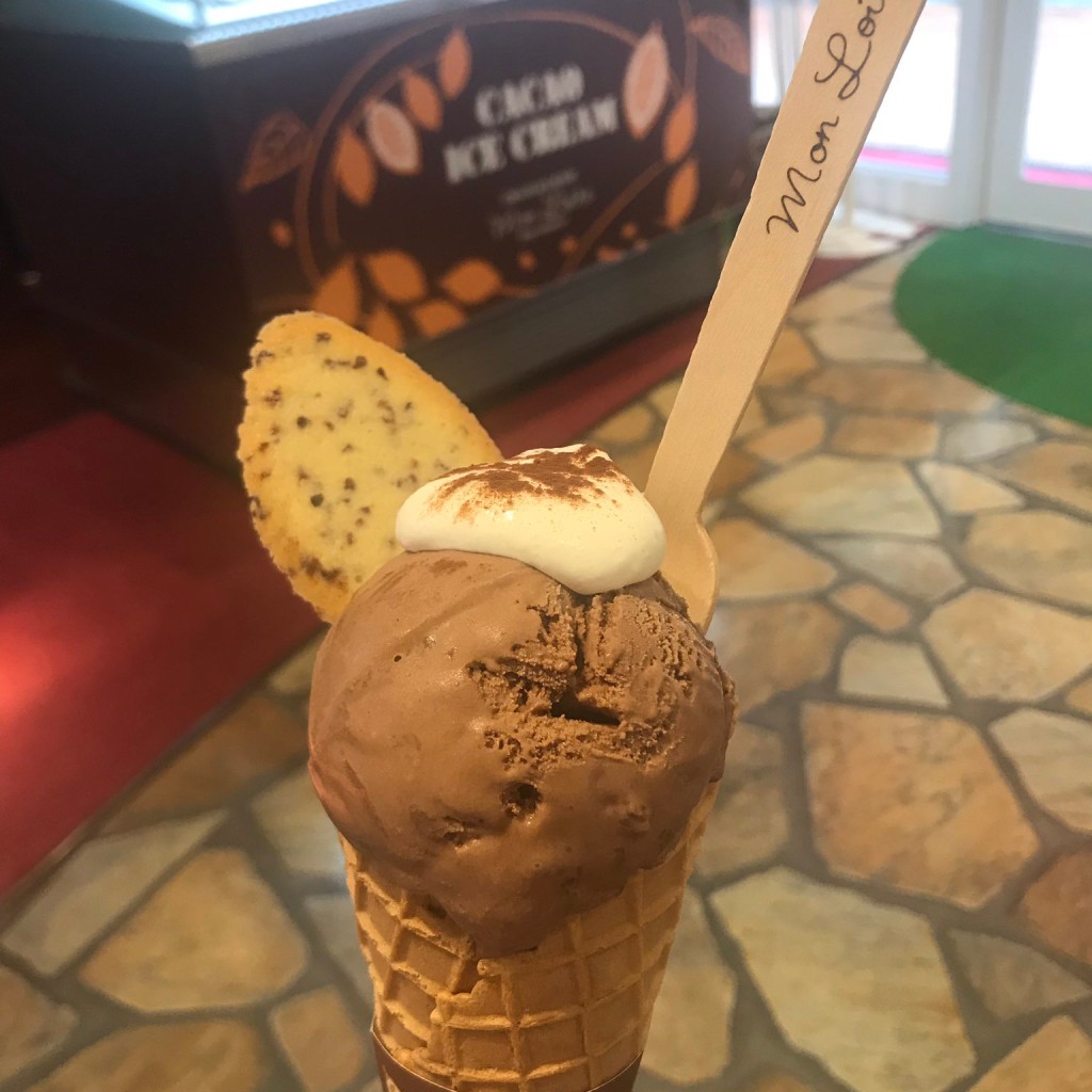 ユーザーが投稿したチョコアイスの写真 - 実際訪問したユーザーが直接撮影して投稿した東川崎町スイーツモンロワール 神戸ハーバーランド店の写真