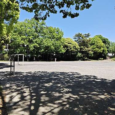 三ツ沢公園 自由広場のundefinedに実際訪問訪問したユーザーunknownさんが新しく投稿した新着口コミの写真