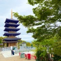 実際訪問したユーザーが直接撮影して投稿した中山寺寺中山寺の写真