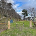 実際訪問したユーザーが直接撮影して投稿した大山公園大山公園の写真