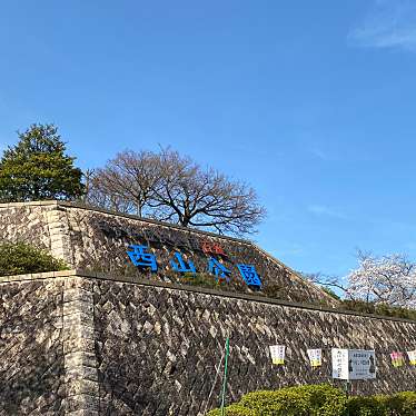 実際訪問したユーザーが直接撮影して投稿した桜町公園西山公園の写真