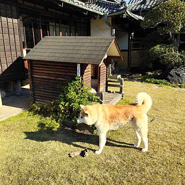 実際訪問したユーザーが直接撮影して投稿した西堀酒 / ビール・ワイン内木酒造の写真