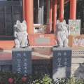 実際訪問したユーザーが直接撮影して投稿した加茂町神社お松大権現の写真