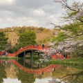 実際訪問したユーザーが直接撮影して投稿した金沢町寺金沢山 称名寺の写真