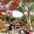 実際訪問したユーザーが直接撮影して投稿した内山神社竈門神社の写真