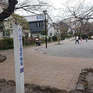 実際訪問したユーザーが直接撮影して投稿した小山台公園小山台公園の写真