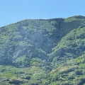 実際訪問したユーザーが直接撮影して投稿した窪公園紀の川万葉の里公園の写真