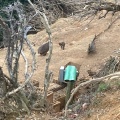 実際訪問したユーザーが直接撮影して投稿した嵐山中尾下町動物園嵐山モンキーパーク いわたやまの写真