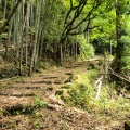実際訪問したユーザーが直接撮影して投稿した大泊町自然名所熊野古道・大吹峠の写真
