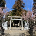 実際訪問したユーザーが直接撮影して投稿した国分町神社菅原神社の写真