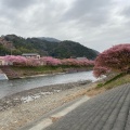 実際訪問したユーザーが直接撮影して投稿した河川河津川の写真