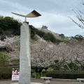 実際訪問したユーザーが直接撮影して投稿した館山公園城山公園の写真