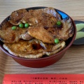 豚丼 - 実際訪問したユーザーが直接撮影して投稿した豚肉料理豚丼のぶたはげ 道の駅おとふけ店の写真のメニュー情報