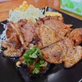 実際訪問したユーザーが直接撮影して投稿した石井丼もの炭焼き豚丼 源喜亭の写真