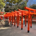 実際訪問したユーザーが直接撮影して投稿した住吉神社荒熊・白髭稲荷神社の写真