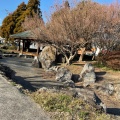 実際訪問したユーザーが直接撮影して投稿した鯰公園嘉島近隣公園の写真