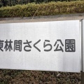 実際訪問したユーザーが直接撮影して投稿した上鶴間公園東林間さくら公園の写真