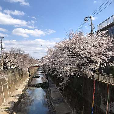 実際訪問したユーザーが直接撮影して投稿した河川石神井川の写真