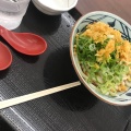 実際訪問したユーザーが直接撮影して投稿した茅ケ崎中央うどん丸亀製麺コーナン港北センター南の写真