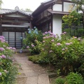 実際訪問したユーザーが直接撮影して投稿した北山寺資福寺の写真