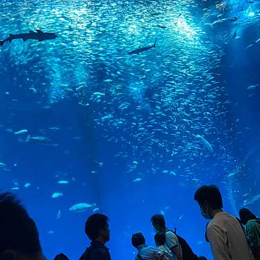 アクアワールド茨城県大洗水族館のundefinedに実際訪問訪問したユーザーunknownさんが新しく投稿した新着口コミの写真