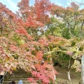 実際訪問したユーザーが直接撮影して投稿した内山神社竈門神社の写真