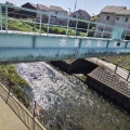 実際訪問したユーザーが直接撮影して投稿した河川黒目川の写真