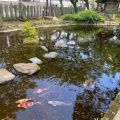 実際訪問したユーザーが直接撮影して投稿した一の宮町宮地神社阿蘇神社の写真