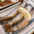 実際訪問したユーザーが直接撮影して投稿した江東橋魚介 / 海鮮料理ろばた焼き海賊の写真