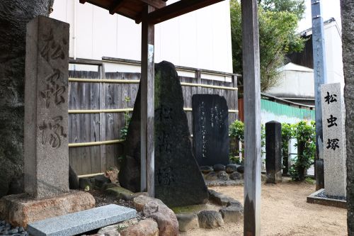 実際訪問したユーザーが直接撮影して投稿した松虫通遺跡地松虫塚の写真