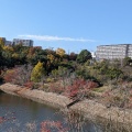 実際訪問したユーザーが直接撮影して投稿した糀台公園池谷緑地の写真