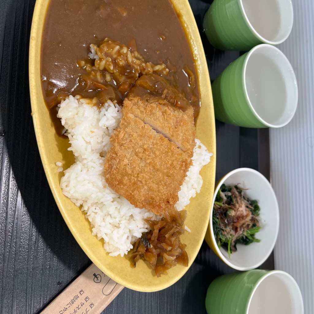 ユーザーが投稿したカツカレーLの写真 - 実際訪問したユーザーが直接撮影して投稿した霞定食屋広島大学学生生協食堂 霞食堂の写真