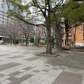 実際訪問したユーザーが直接撮影して投稿した市場町公園羽衣公園の写真