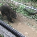 実際訪問したユーザーが直接撮影して投稿した綾羽公園五月山公園の写真