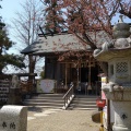 実際訪問したユーザーが直接撮影して投稿した市名坂神社二柱神社の写真