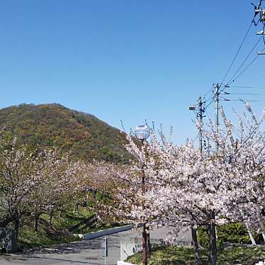 実際訪問したユーザーが直接撮影して投稿した旭ケ丘高校市立札幌旭丘高等学校の写真