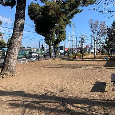 実際訪問したユーザーが直接撮影して投稿した八幡公園八幡東公園の写真