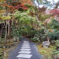 実際訪問したユーザーが直接撮影して投稿した小石原和食 / 日本料理やまめ山荘の写真