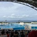 実際訪問したユーザーが直接撮影して投稿した石川水族館 / アクアリウムオキちゃん劇場の写真