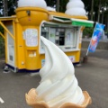 実際訪問したユーザーが直接撮影して投稿した井江葭スイーツ田嶋牧場のソフトクリーム屋の写真