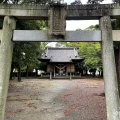 実際訪問したユーザーが直接撮影して投稿した有玉南町神社俊光将軍社の写真