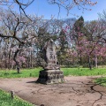 実際訪問したユーザーが直接撮影して投稿した宮ケ丘神社北海道神宮の写真