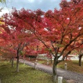 実際訪問したユーザーが直接撮影して投稿した東瓦町寺総本山智積院の写真