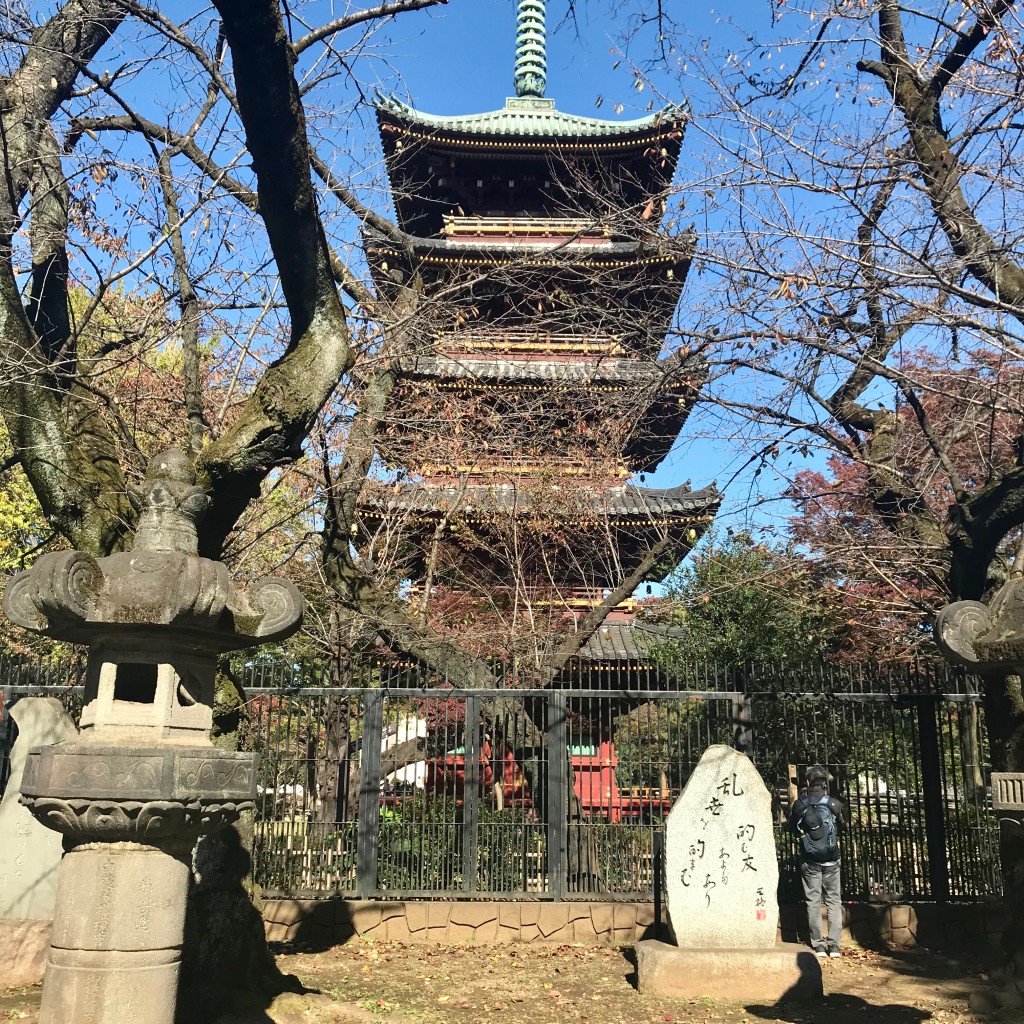 Mimmiさんが投稿した上野公園神社のお店上野東照宮/ウエノトウショウグウの写真