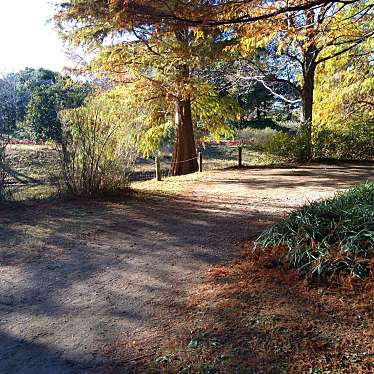 ふなばしアンデルセン公園のundefinedに実際訪問訪問したユーザーunknownさんが新しく投稿した新着口コミの写真