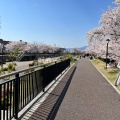 実際訪問したユーザーが直接撮影して投稿した大路公園草津川跡地公園 de愛ひろば(区間5)の写真