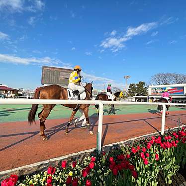 実際訪問したユーザーが直接撮影して投稿した勝島競馬場東京シティ競馬の写真