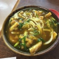 カレーうどん - 実際訪問したユーザーが直接撮影して投稿した羽束師古川町定食屋ふじや食堂の写真のメニュー情報