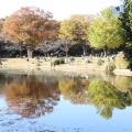 実際訪問したユーザーが直接撮影して投稿した北の丸公園公園北の丸公園の写真